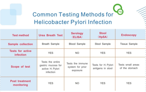 What is Helicobacter Pylori?